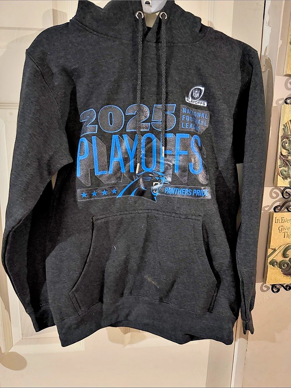 Fanatics 2025 NFL Playoffs Carolina Panthers Hoodie Black Blue Hoodie